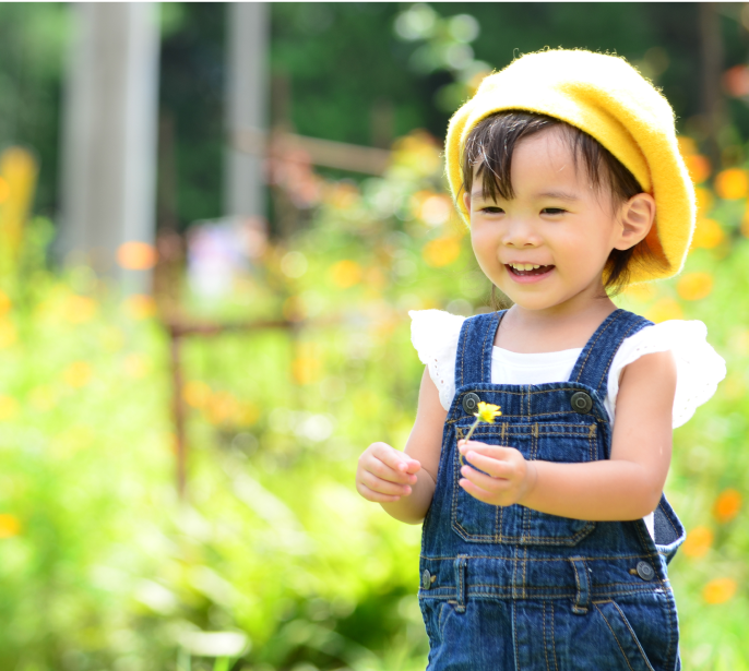 インフルエンサーの投稿